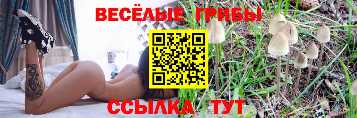 Псилоцибиновые грибы мухоморы  Вход с VPN  Псилоцибиновые грибы Cubensis  Пушкино 