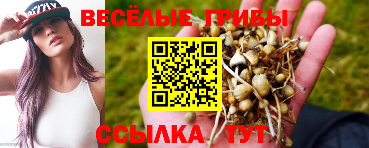 Псилоцибиновые грибы мухоморы Пушкино